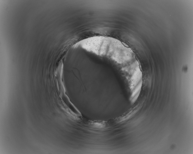 X0000097300285200803141539