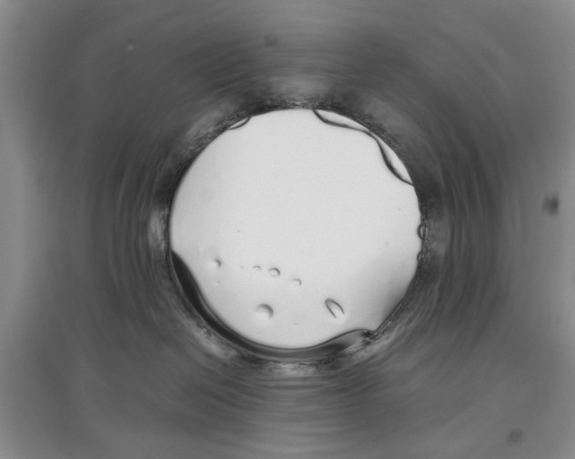 X0000097300286200803141539