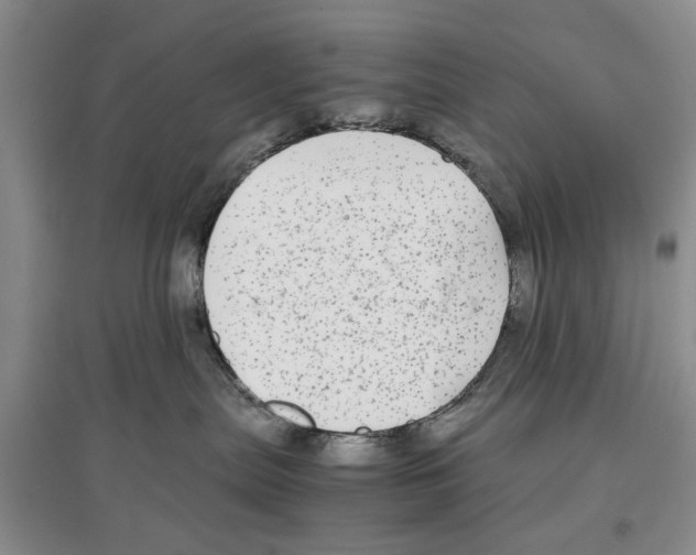 X0000097300287200803141539