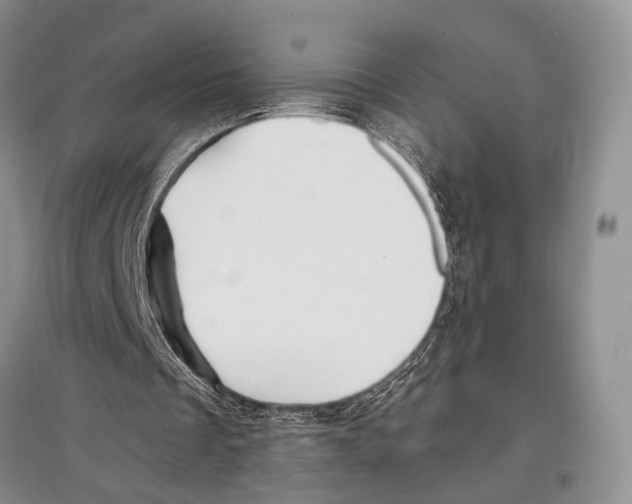 X0000097300289200803141538