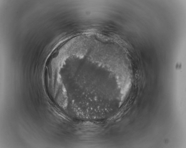 X0000097300290200803141538
