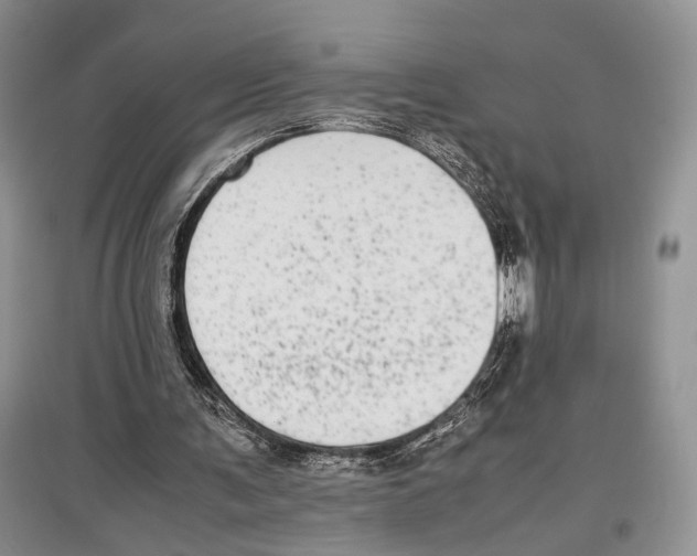 X0000097300291200803141538