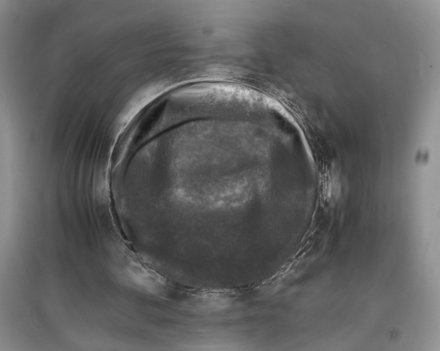 X0000097300292200803141538