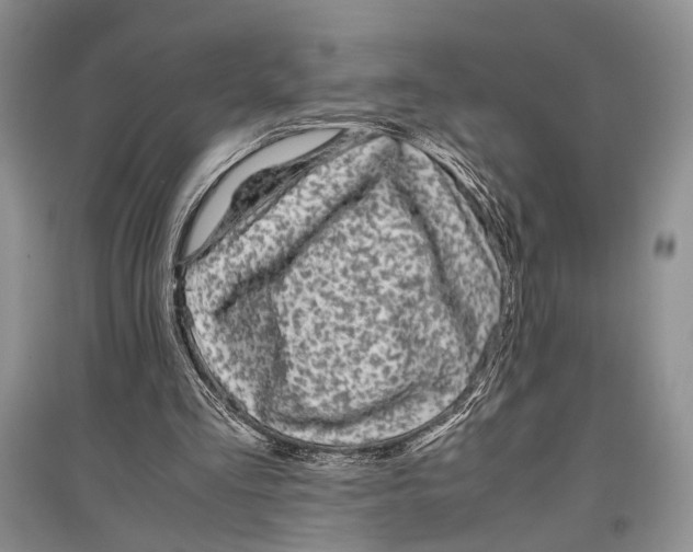 X0000097300293200803141538