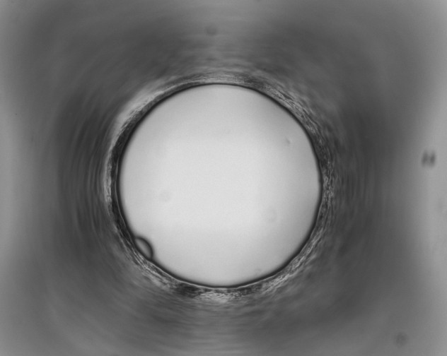 X0000097300294200803141538