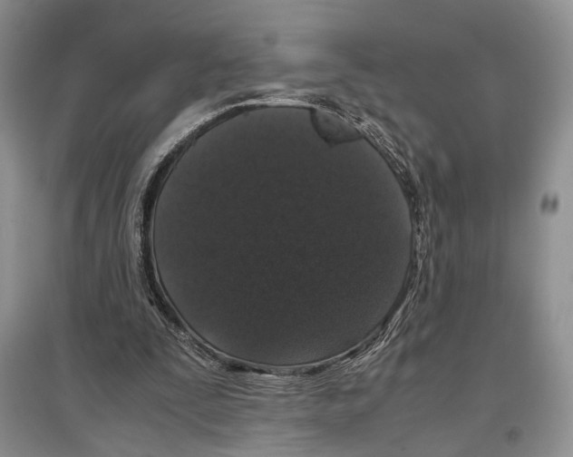 X0000097300295200803141538