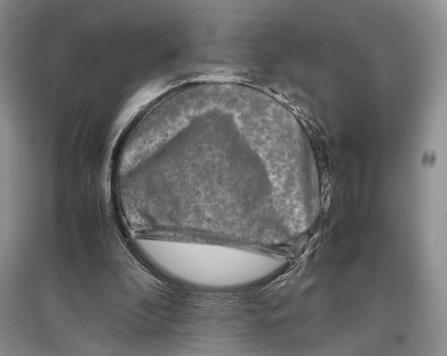 X0000097300296200803141538