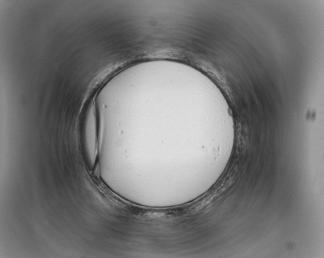 X0000097300298200803141538