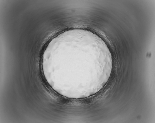 X0000097300299200803141538