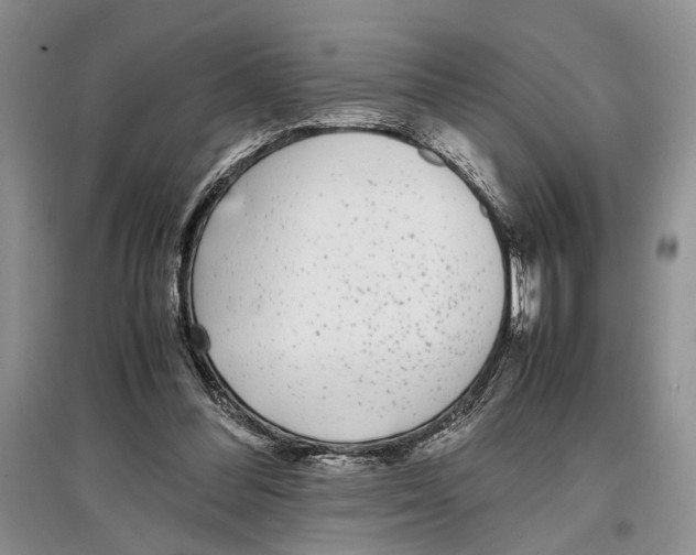 X0000097300300200803141538