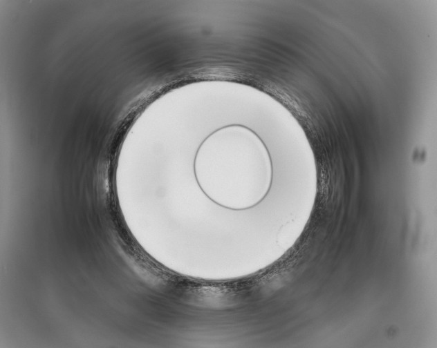 X0000097300302200803141538