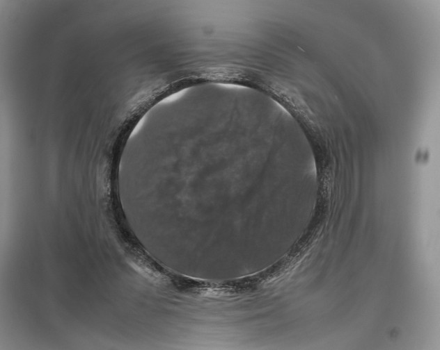 X0000097300303200803141538