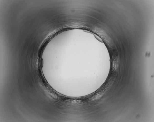 X0000097300304200803141538