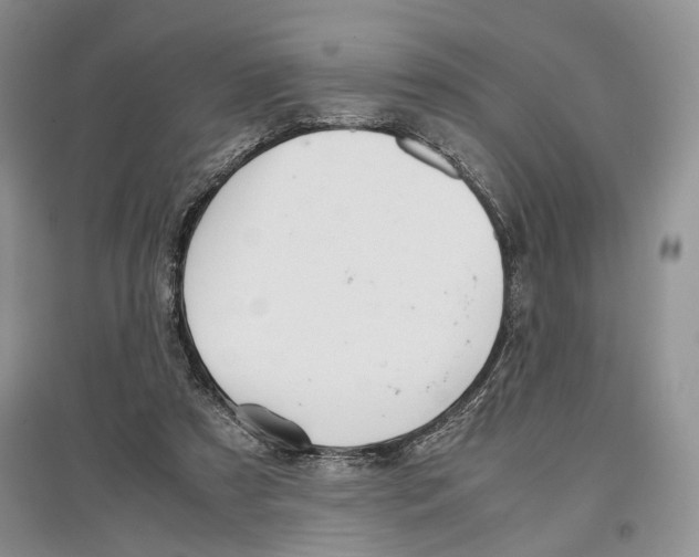 X0000097300305200803141538
