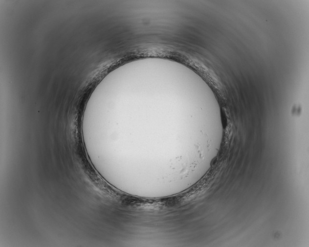 X0000097300306200803141538
