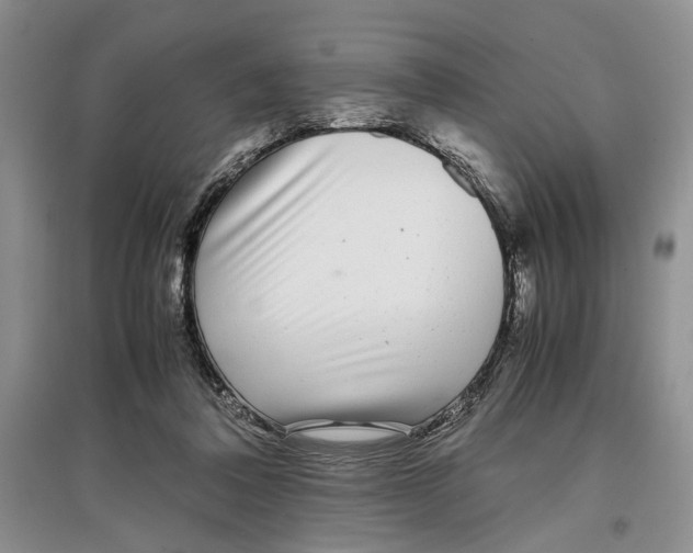 X0000097300308200803141538