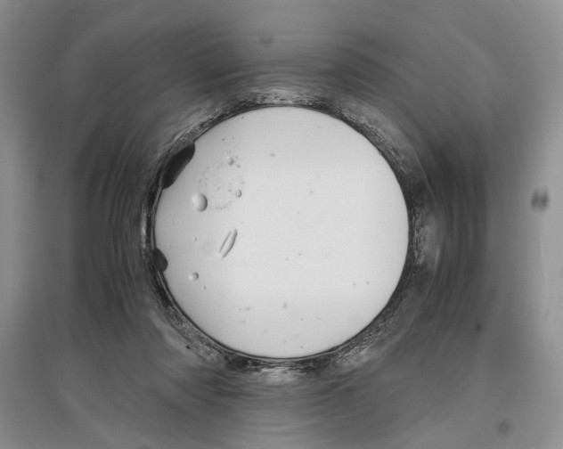 X0000097300310200803141538