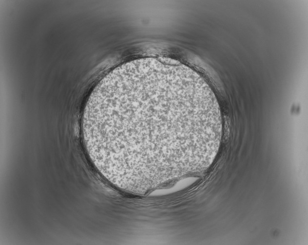 X0000097300313200803141538