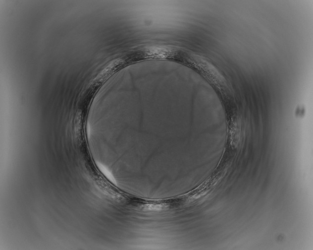 X0000097300314200803141538