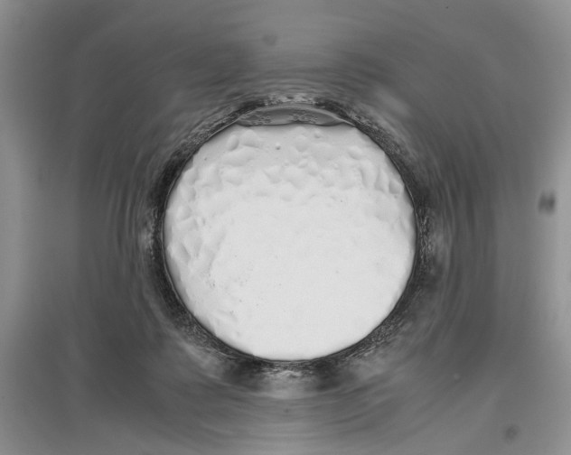 X0000097300315200803141538
