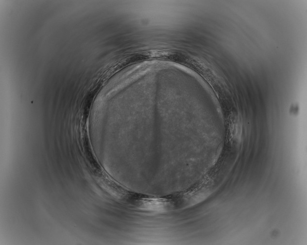 X0000097300316200803141538