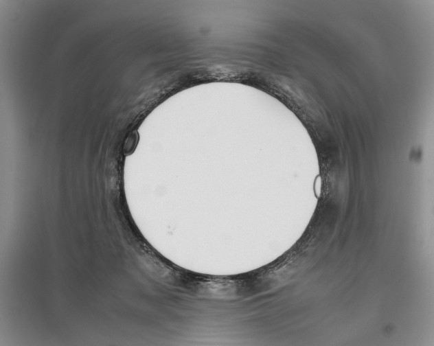 X0000097300317200803141538