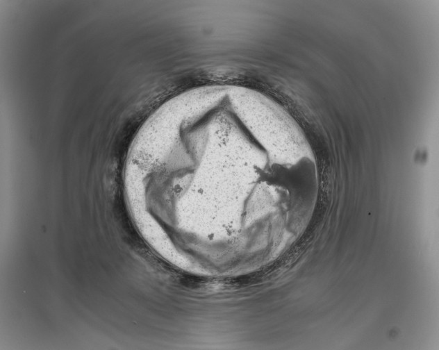X0000097300319200803141538
