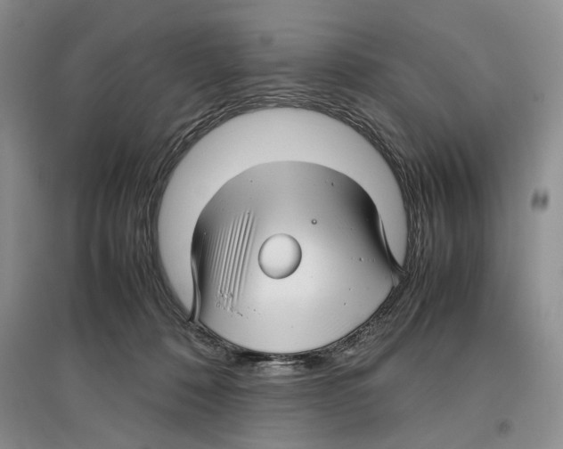 X0000097300320200803141538