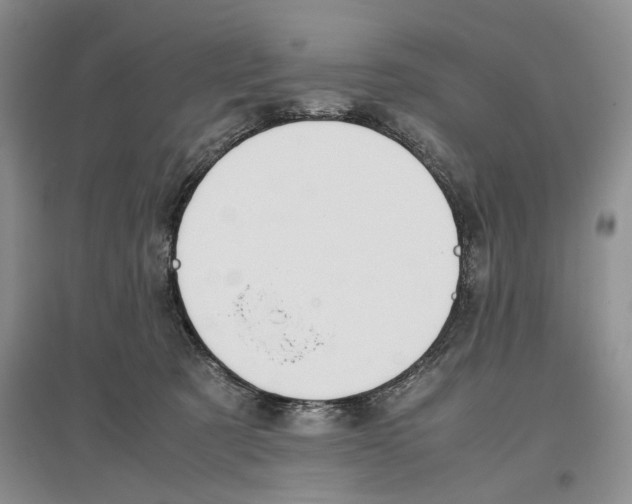 X0000097300321200803141538