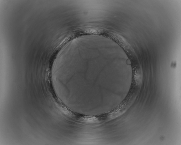 X0000097300322200803141538