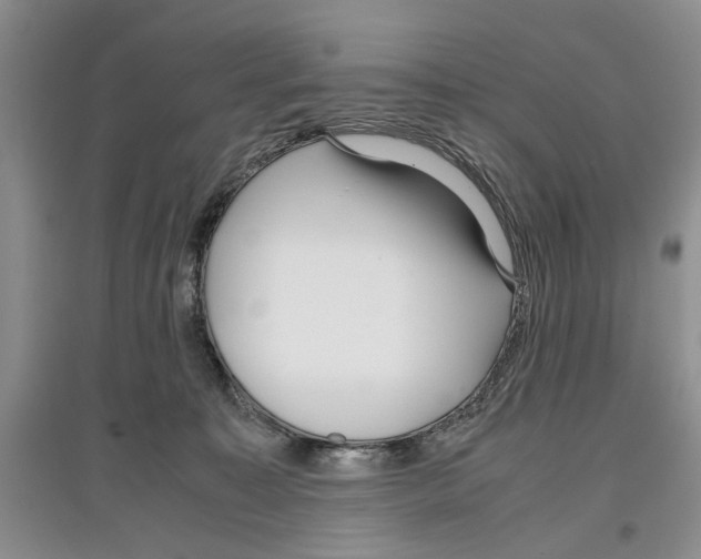 X0000097300323200803141538