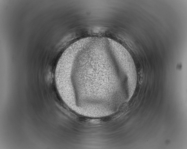 X0000097300324200803141538