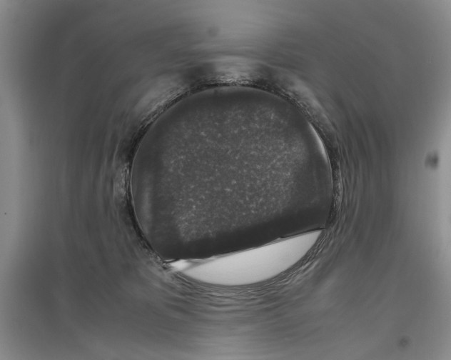 X0000097300325200803141538
