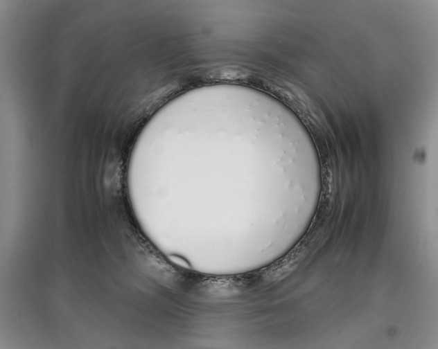 X0000097300326200803141538