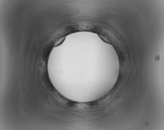 X0000097300327200803141538