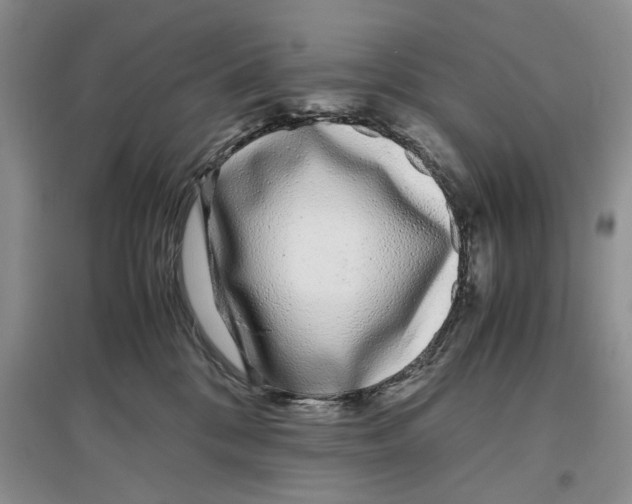 X0000097300328200803141538