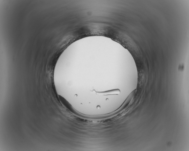 X0000097300329200803141538