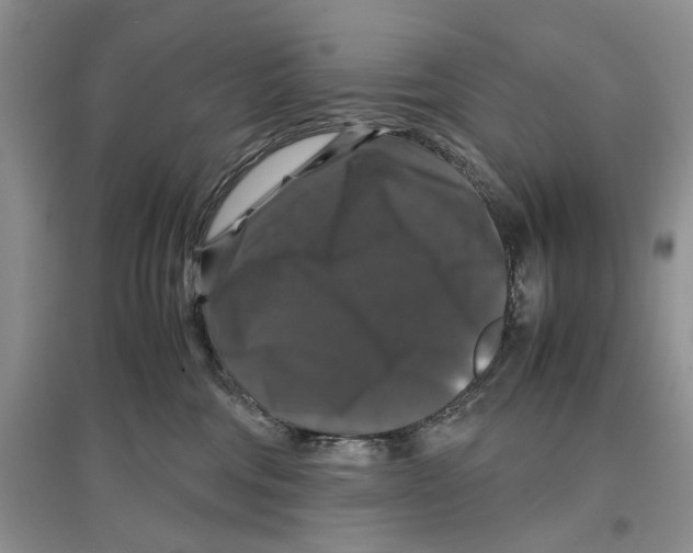 X0000097300330200803141538