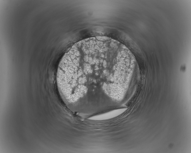X0000097300331200803141538
