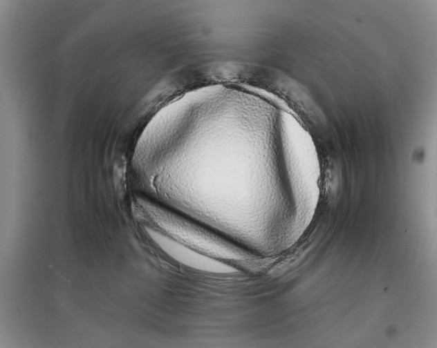 X0000097300332200803141538