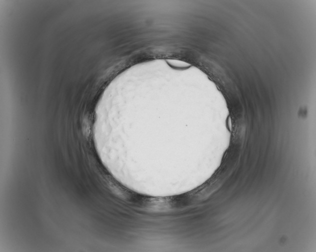 X0000097300335200803141538