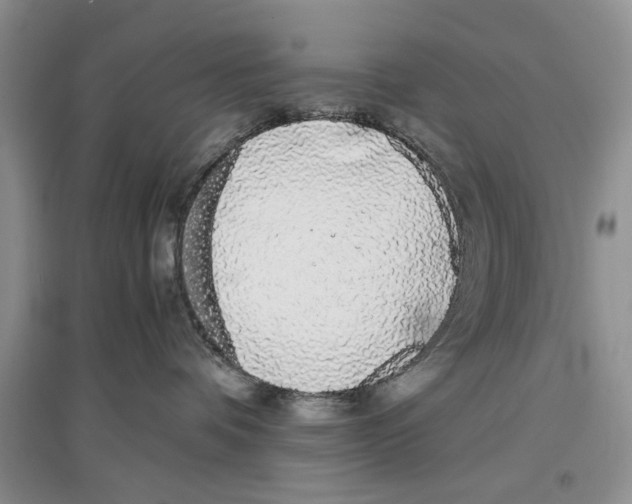 X0000097300336200803141538