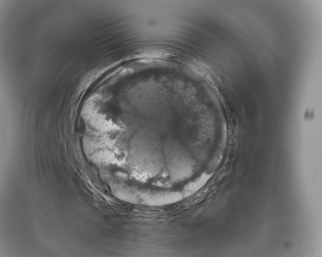 X0000097300337200803141537