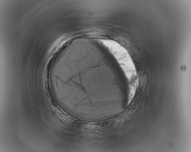 X0000097300339200803141537