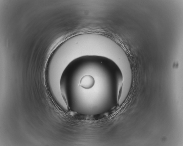 X0000097300340200803141537