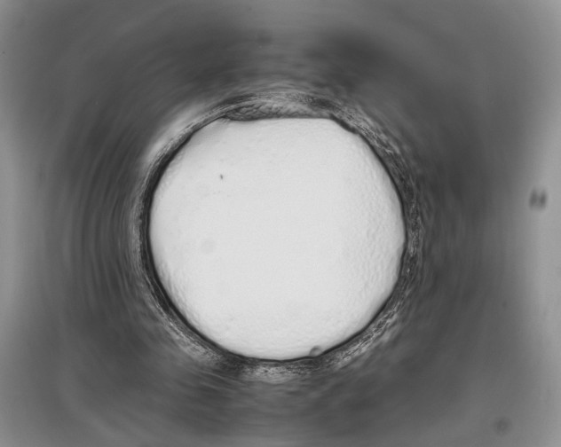 X0000097300341200803141537