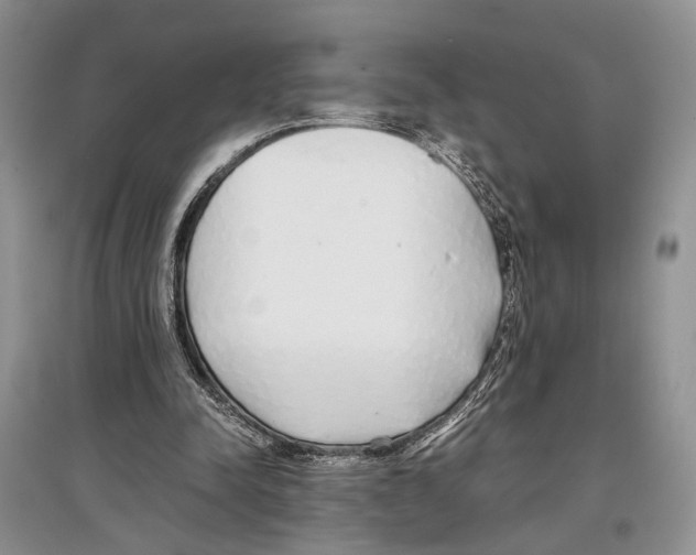 X0000097300342200803141537