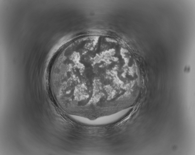 X0000097300343200803141537