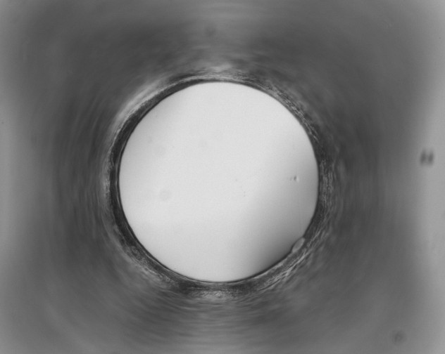 X0000097300344200803141537
