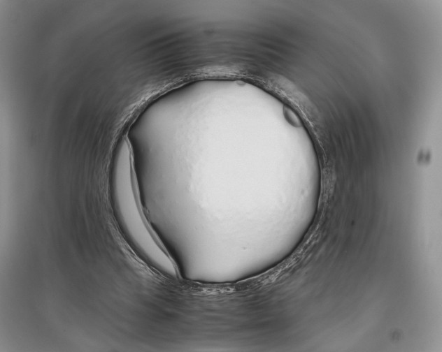 X0000097300345200803141537